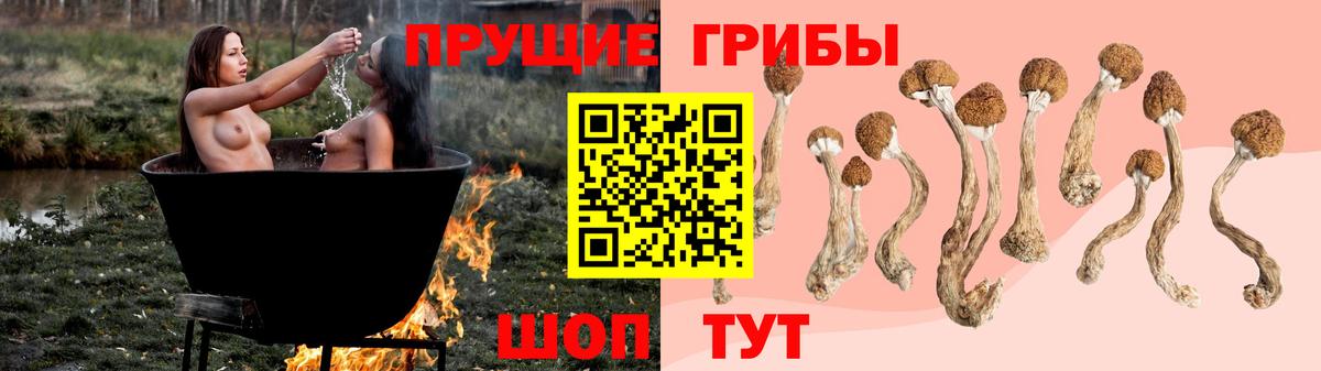 где можно купить   Псилоцибиновые грибы Cubensis  Вход с VPN  Дзержинск 